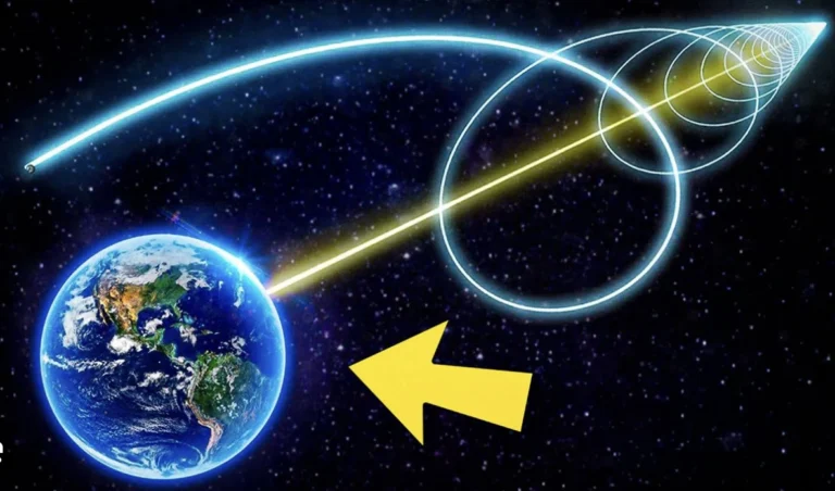 Attuning to the Natural Order of Life